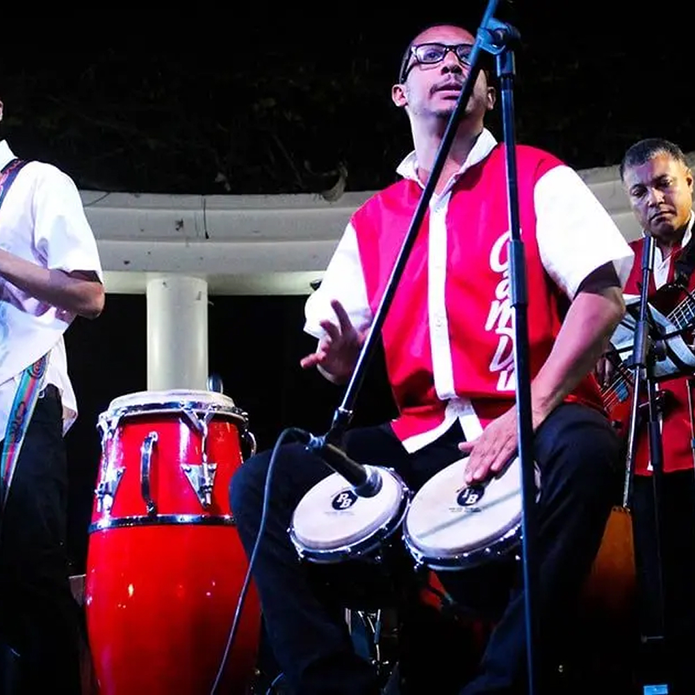 evento Jarana peruana