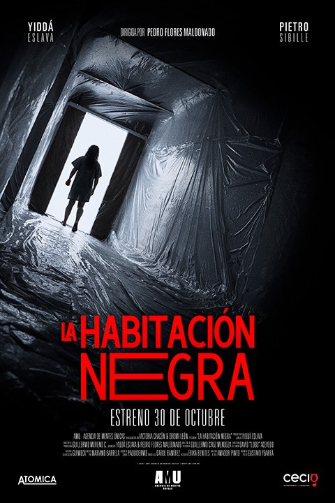 La Habitacion Negra